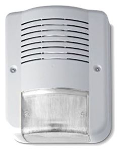 avscontcityledplushp