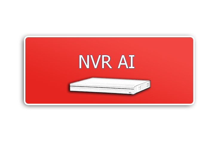 NVR AI